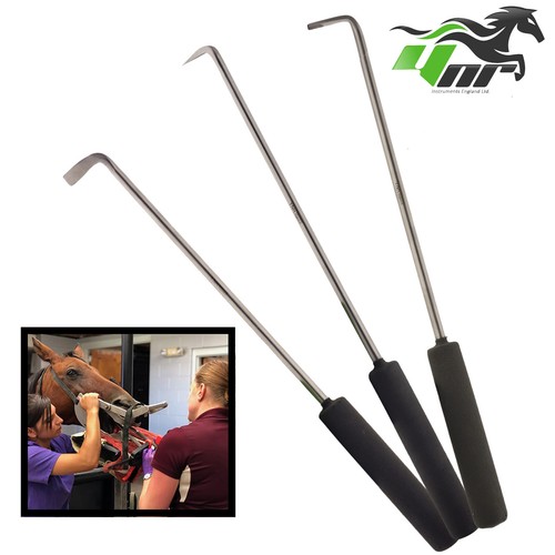 Equine dental picks - picks,
