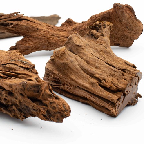 Natural driftwood pieces - driftwood,