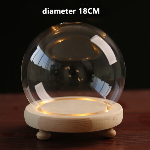 Glass dome display bell jar - display,