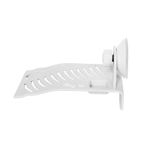 Tortoise basking ramp - tortoise,