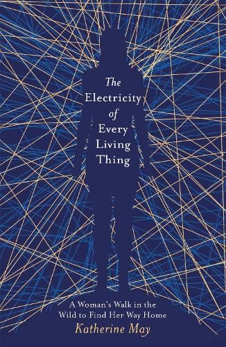 The electricity every - the, of