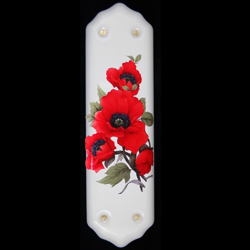Ceramic door finger plate red - door,