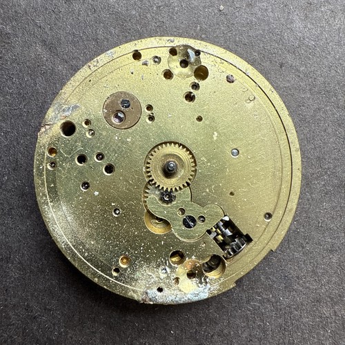 Genuine zenith ligne - genuine, 13