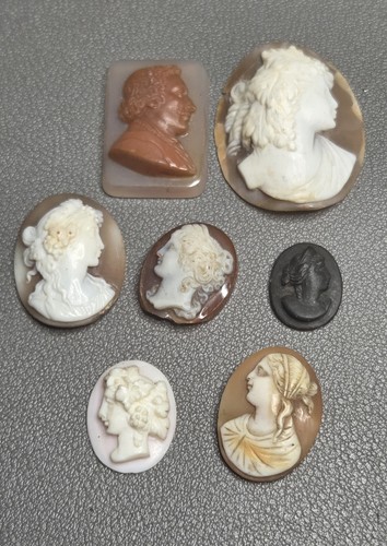 Job lot antique loose shell - antique,