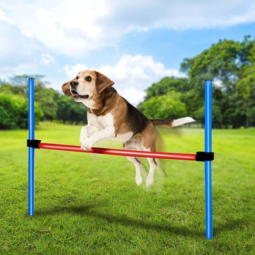 Dog jump obstacle - jump, pole