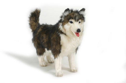 Husky pup standing plush - husky,