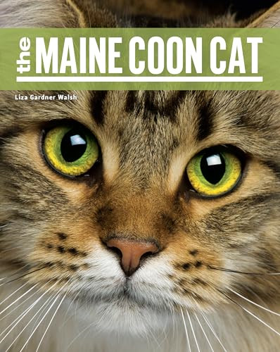 The maine coon cat - -, paperback