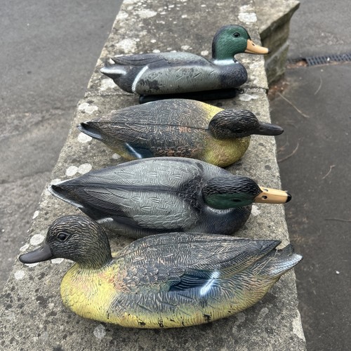 Duck decoys - duck,