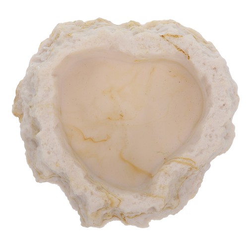 Safe resin anti escape reptile - anti,