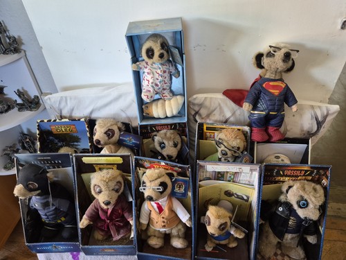 Compare the meerkat - x,