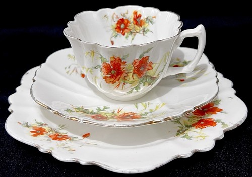 Balmoral china antique - r&d,