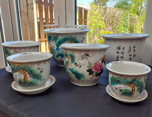 6pc vintage famille - famille, crane