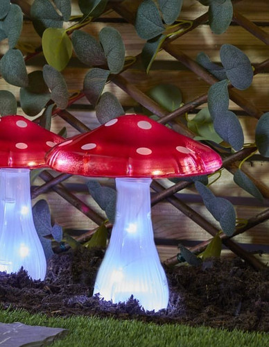 Stake light mushroom - mushroom, led