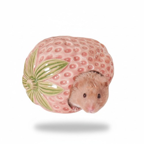 Ceramic strawberry hamster - strawberry,