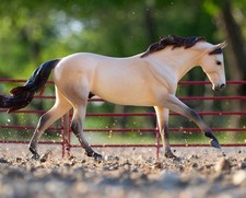 Breyer Cash Preorder