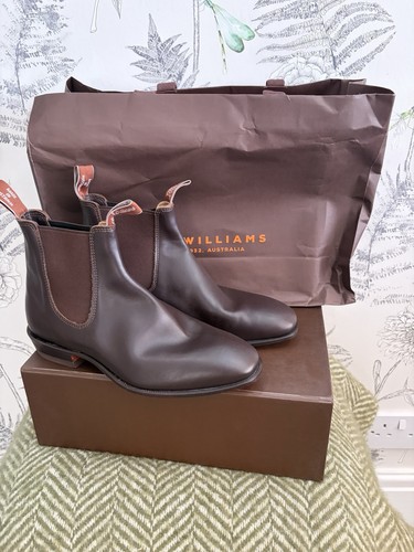 Williams chestnut yearling - r,