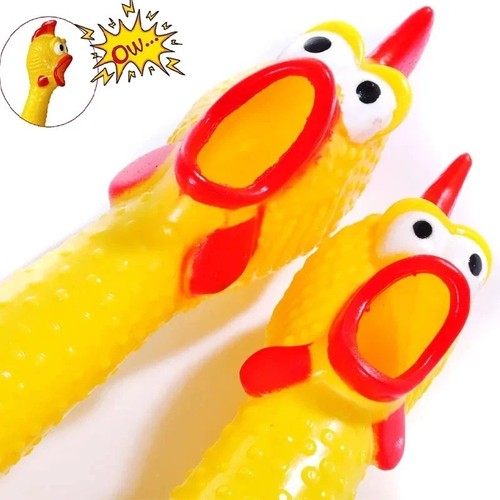 Screaming chicken dog - screaming, toy