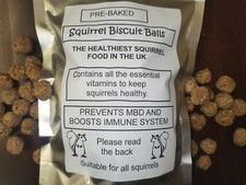 Squirrel biscuit balls
