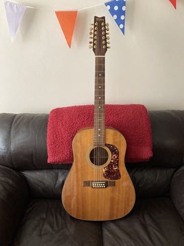 Vintage rare washburn - rare,