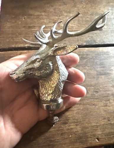 1950 vintage stags head - 1950,