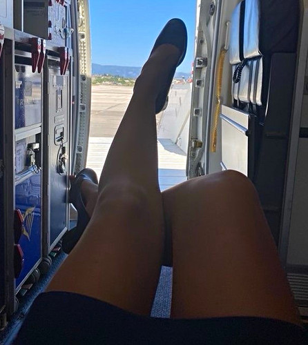 Cabin crew tights - crew,
