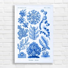 Vintage Botanical Floreidae