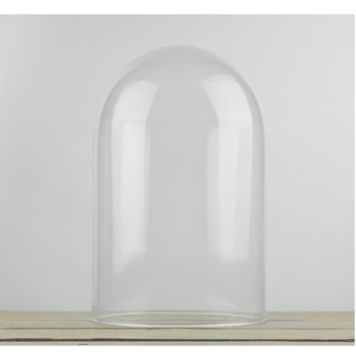 Glass dome display cloche - display, h:35