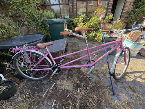 Viking pink link tandem - link,