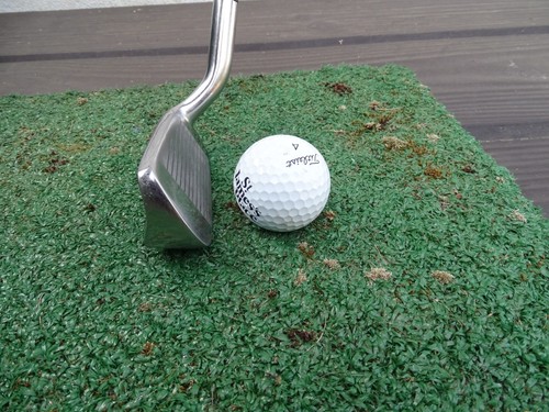 Hippo chipper shank - shank,