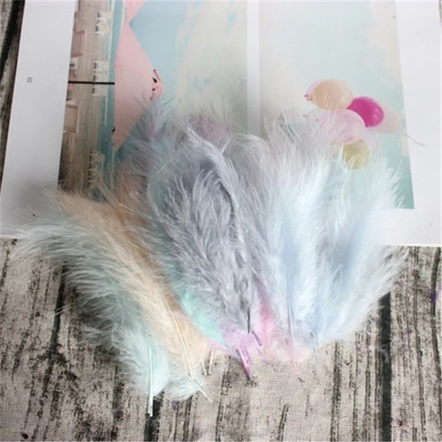 100 solid coloured feathers - 100,