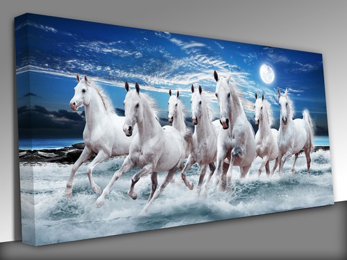 Horses running seascape - horses,