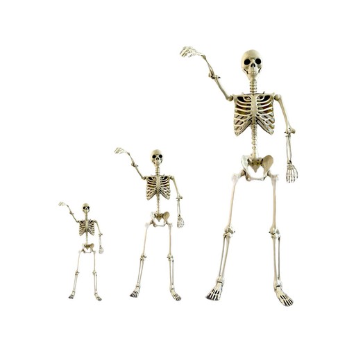 Halloween skeleton poseable - halloween,