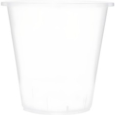 Stewart 18.5cm Clear Plastic