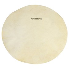 World Rhythm 12" White Goat