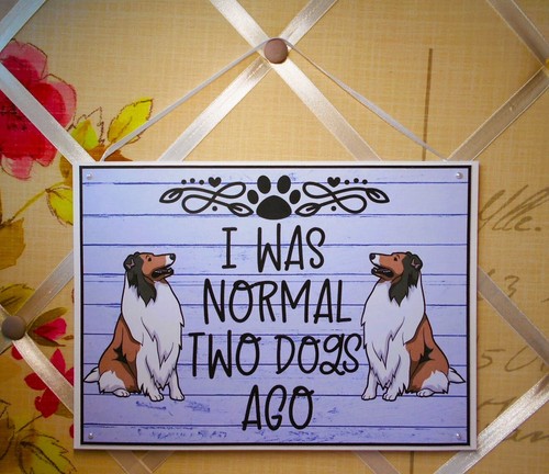 Rough collie dogs sign - rough, was