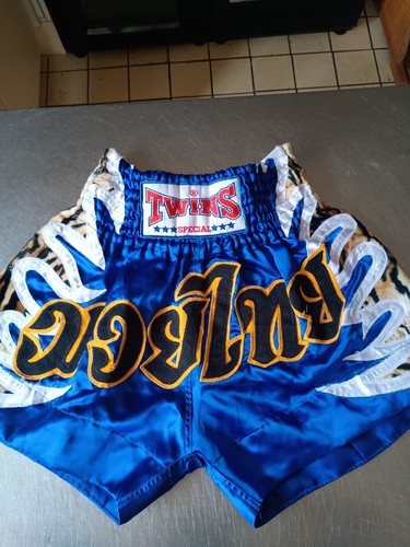 Muay thai boxing - shorts, twins