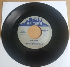 THE SEEBURG SPOTLITE BAND -