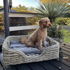Large Double Weave Wicker Dog