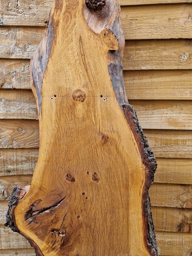 Hardwood live edge - edge, wood