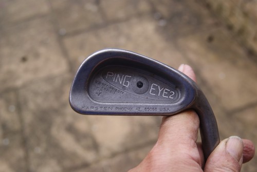 Ping eye black dot - eye,
