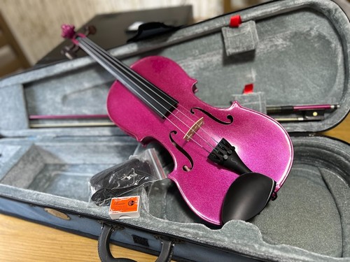 Stentor harlequin violin - 4/4,