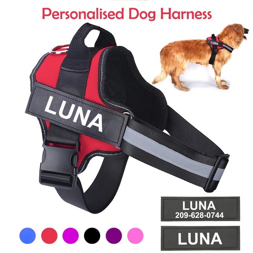 Personalized dog harness - personalized,