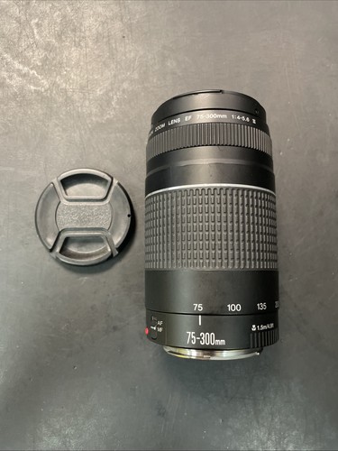 Canon 300mm 5 6 iii - 75-300mm, f/4.5-5.6