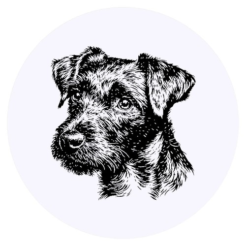 Patterdale terrier - 24, 'patterdale