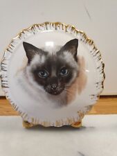 Liverpool Road Pottery Bone China Pocket Vase Siamese Cat H14cm X W13cm Vgc