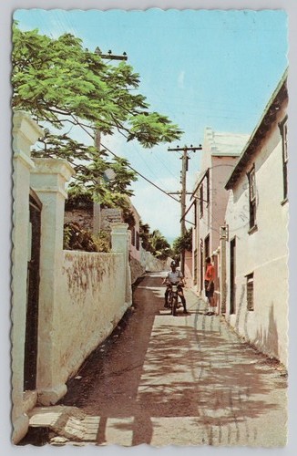 George bermuda 1966 - 1966, back