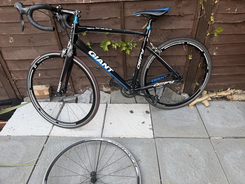 Giant defy men road bike - defy,