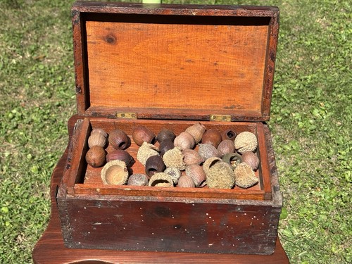 Antique specimen box with - specimen,