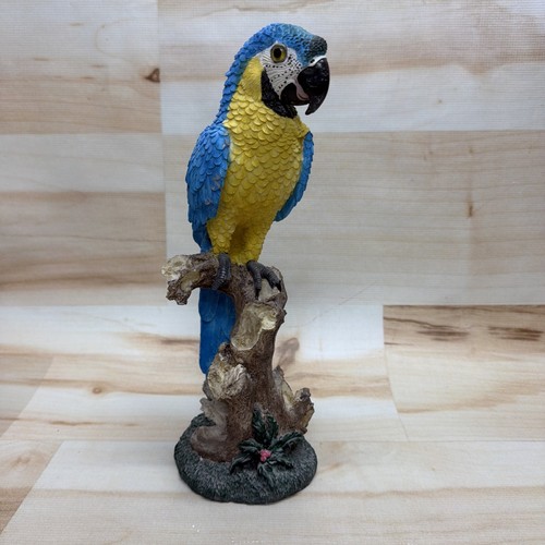 Blue yellow macaw parrot - yellow,