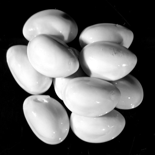10x highly polished white - polished,